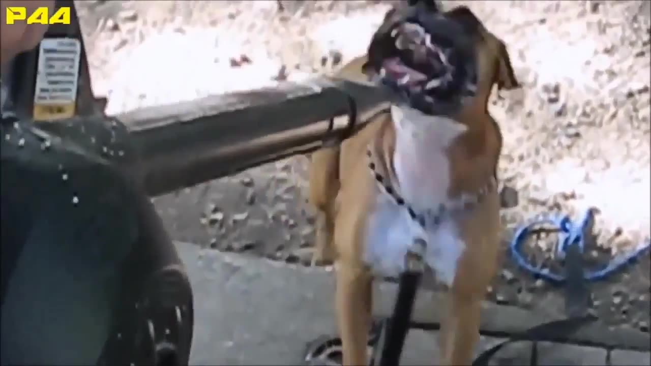 Funniest Fun Comedy amazing comedy video 2023 Episode 17 | 😂 Try Not To Laugh Funny Videos 2023