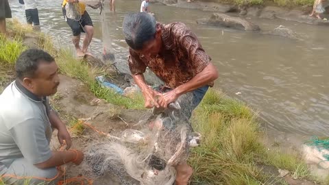 Amazing..Tradisional fishing net in river