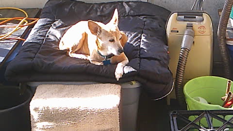 Clare lounging on the small porch
