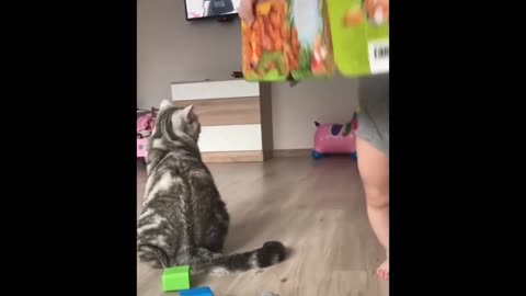 The child uses their language to talk to the cat