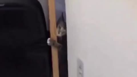Omg let me in I love pizza too 🤣🤣🤣