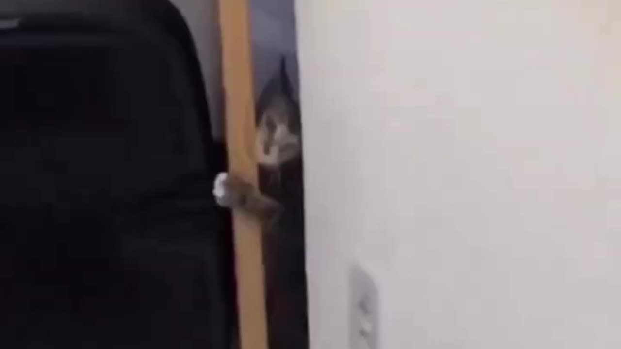 Omg let me in I love pizza too 🤣🤣🤣