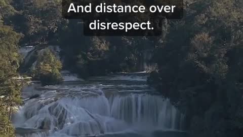 Just keep moving forward and never look back