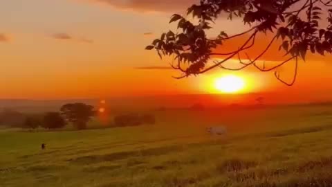 Beautiful Nature