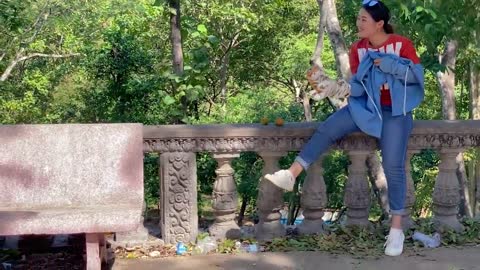 Fake Tiger Prank Monkey So Funny I You must watch this