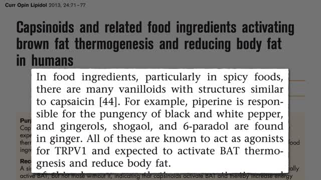 Flashback Friday: Boosting Brown Fat Through Diet