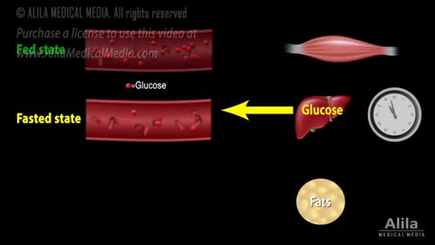 Intermittent Fasting - How it works*** Animation