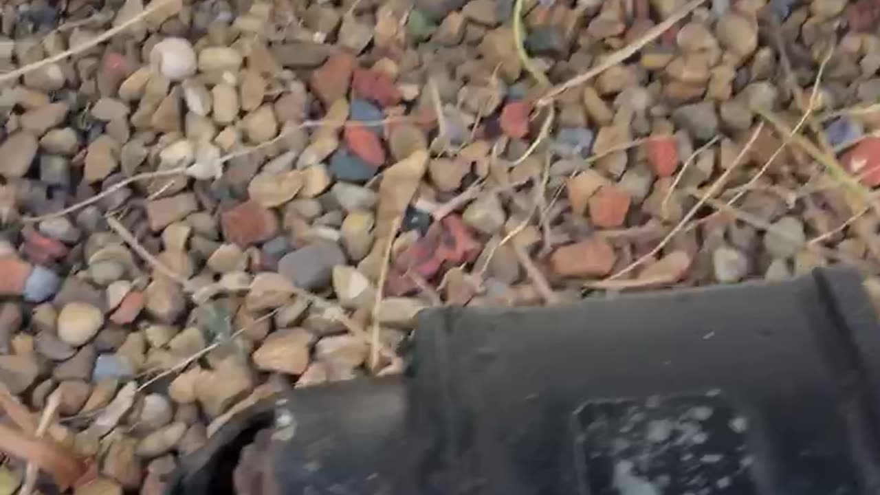 Repulsion induction motor antique repaired and running