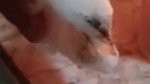 Does your snow burn???