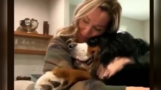Adorable hug between a dog and his mistress
