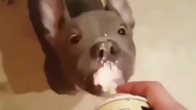 Who Whopped Cream , Can You Believe It.