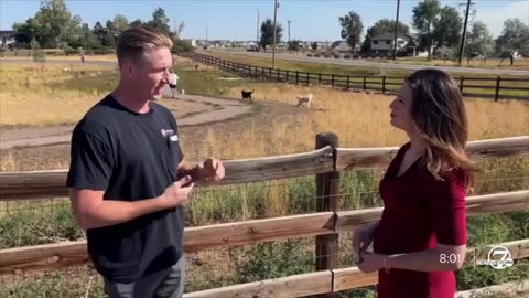 Berthoud man who bought Doberman puppy speak