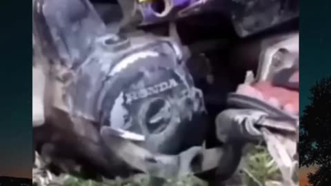 Funny videos