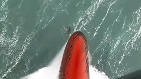 😱😱 OMG 😱😱 #amazing #bigships #roughsea #ocean #bigwaves