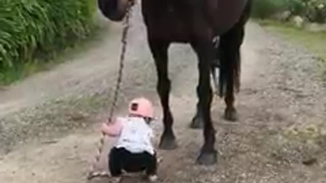 15 months girl handling a big horse 🐴🐎