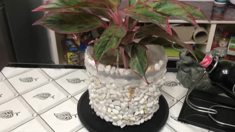 DIY Upgraded Plant Pot | Ichiro Yamazaki TV