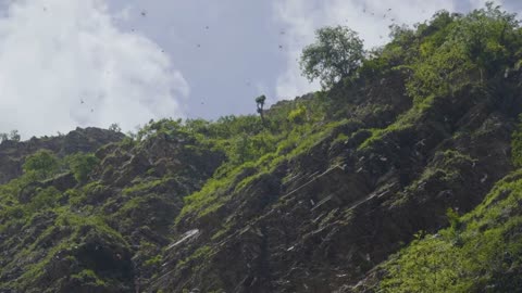 Thought To Be Exclusive to Humans: Scientists Uncover Remarkable Cognitive Skills of Fruit Bats