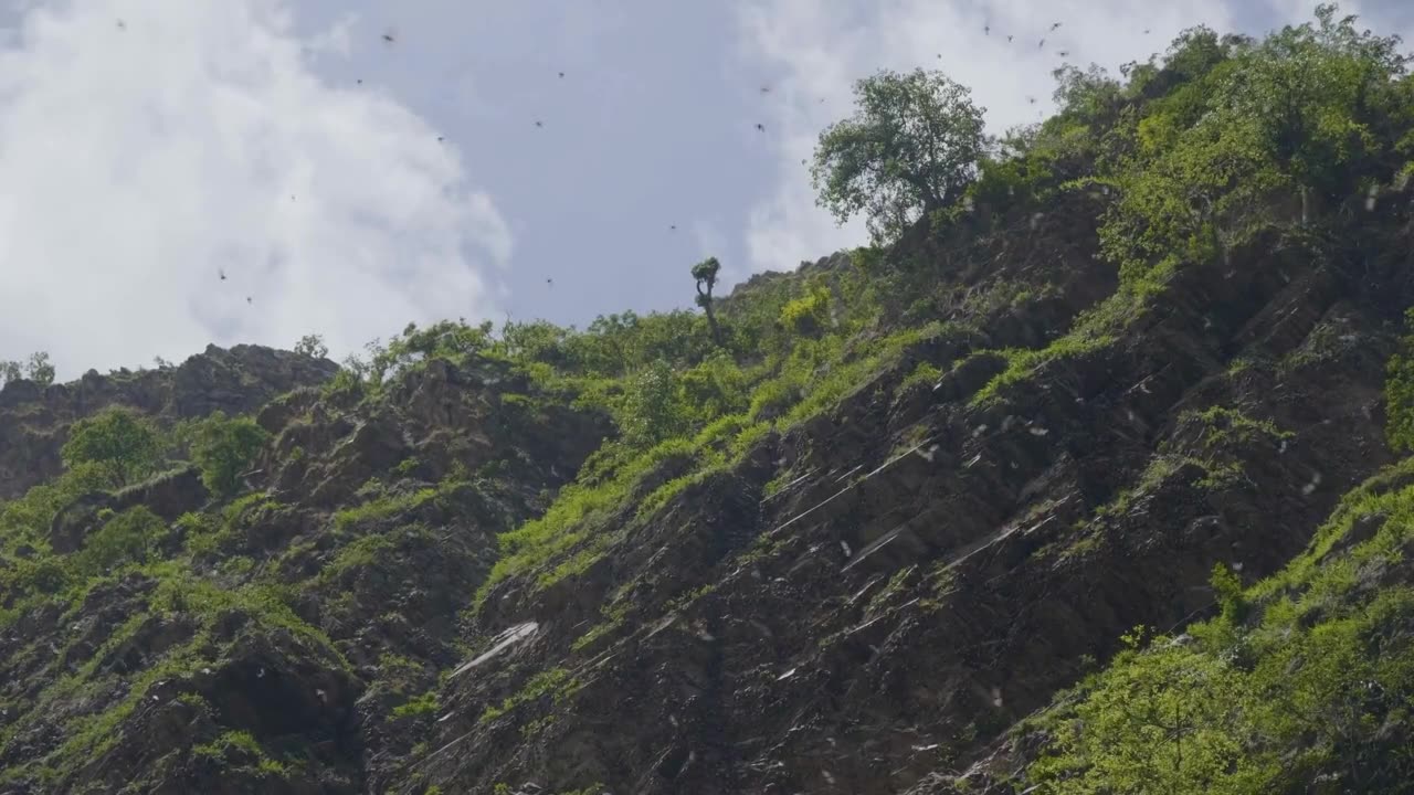 Thought To Be Exclusive to Humans: Scientists Uncover Remarkable Cognitive Skills of Fruit Bats