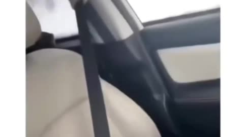 You Laugh 😂 You Lose 😣| Funny Animals Video | #9