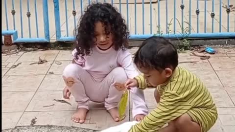 Funny kids enjoy playing with a cute kitty