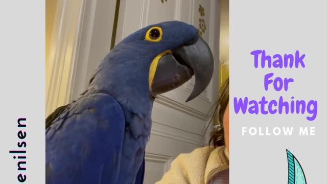 Who’s the bird in your phone 🤔💙