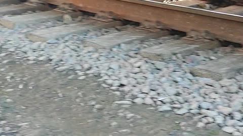 Railroad Ties Flexing