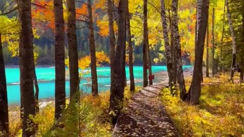 Such beautiful scenery