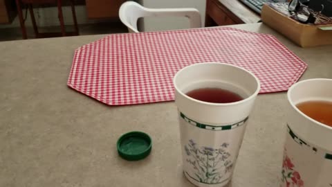Wine making from store juice