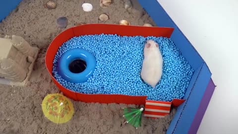 Hamster Pool Maze