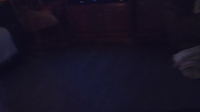 Washington DC is full of liers