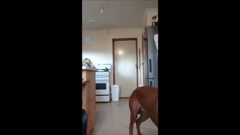 What is going on?