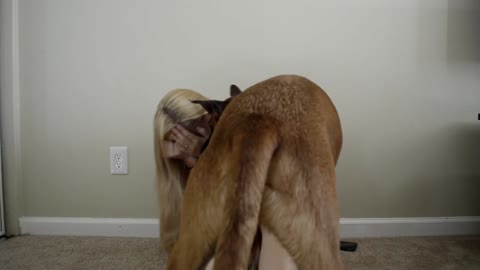WHAT AN ANXIETY ATTACK LOOKS LIKE WITH A SERVICE DOGs