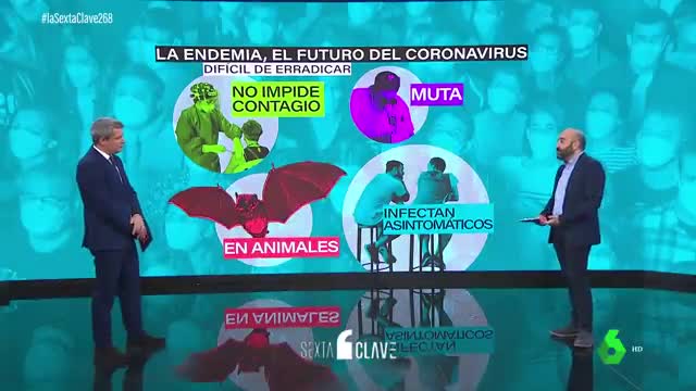 ¿QUÉ ES LA ENDEMIA?