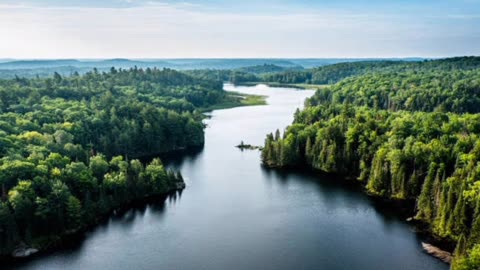 Nature beauty scene