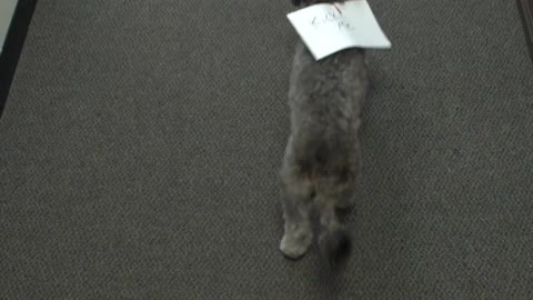 The Beau Show: Booker The Nemesis