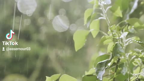 Relaxing soft music