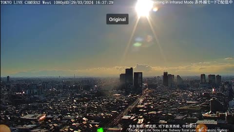 Tokyo Suns