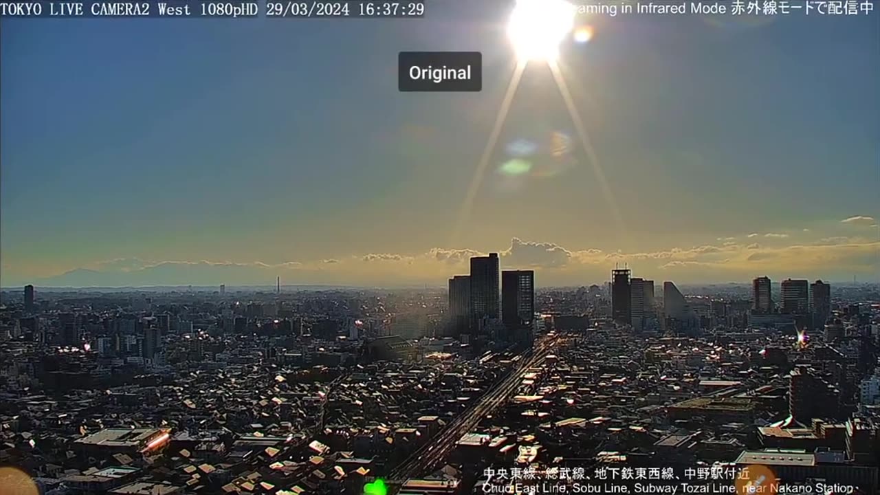 Tokyo Suns