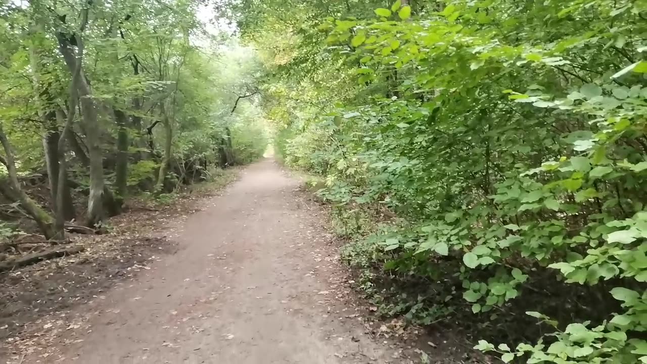 ty żyjesz tak jak wszyscy , ja żyję po swojemu ...