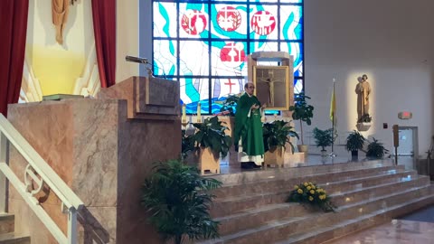 Father Martin Dunne Homily 21sr Sunday in Ordinary Time 8/25/24