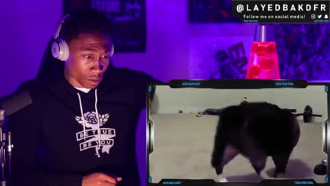 Cats & dogs can hear frequencies that human beings cannot
