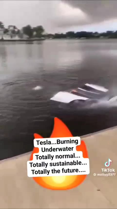 Tesla: The EV Scam ☢️ 👀