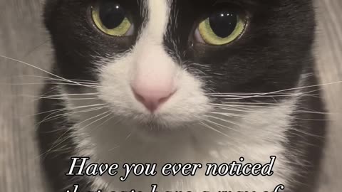 Have you ever noticed?