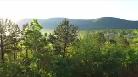 Beautiful Relaxing Piano Guitar Music