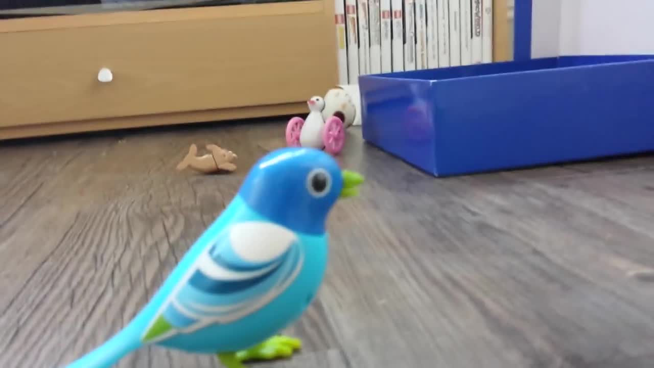 Curious parrot fascinated by mechanical bird