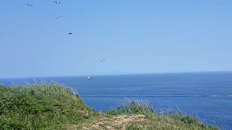 SlowMotion sea