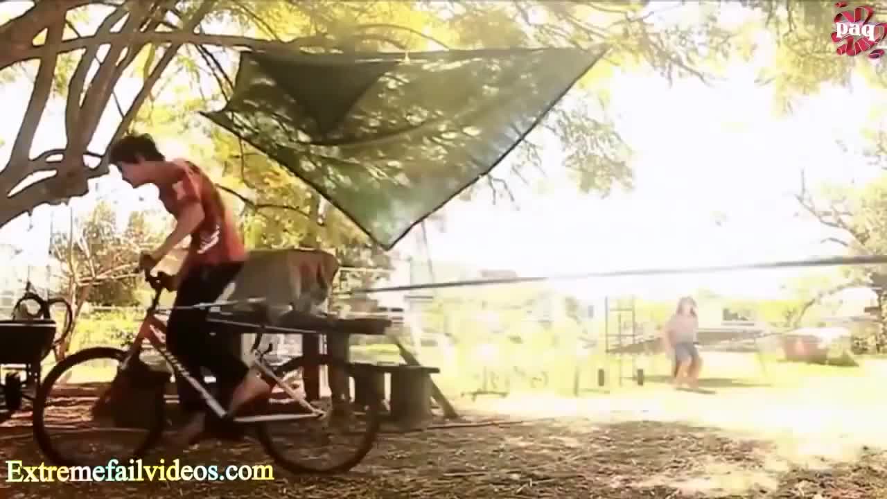 funny and dumb videos
