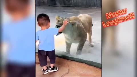 Laugh Funny Videos Comedy
