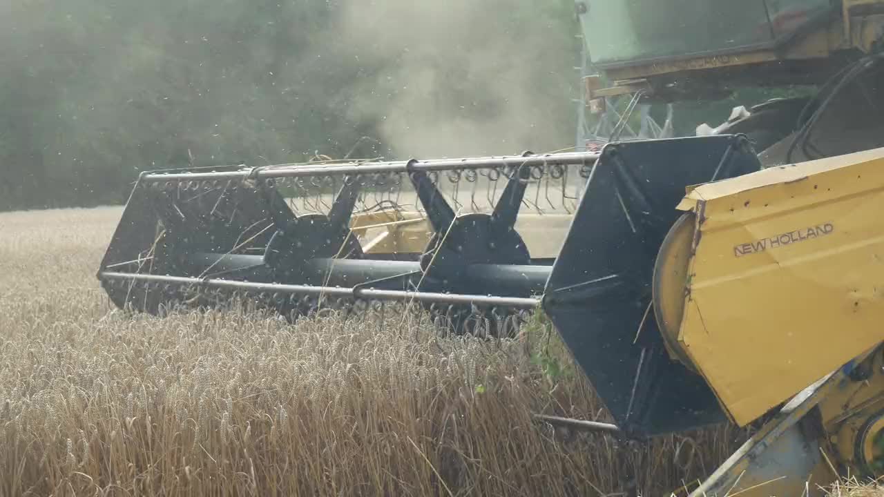 large crops.