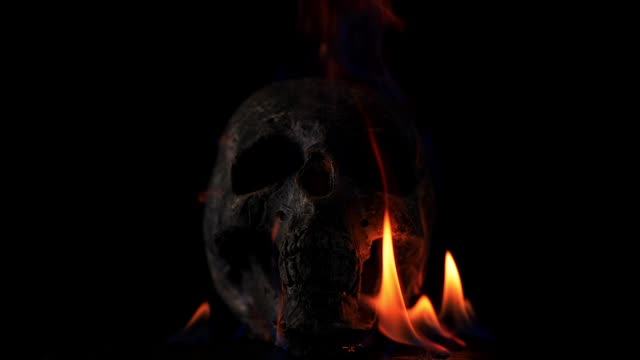 Skull - For your video editing 2